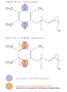 CoQ10-Oxydee-Ubiquinone